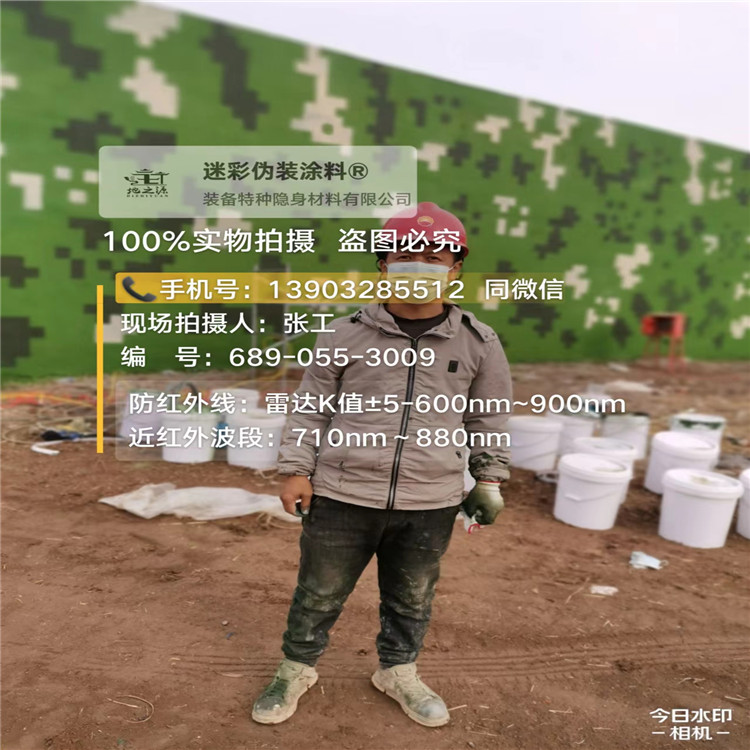 崇左​包括外墙、护坡、水泥地面建筑物的迷彩喷涂